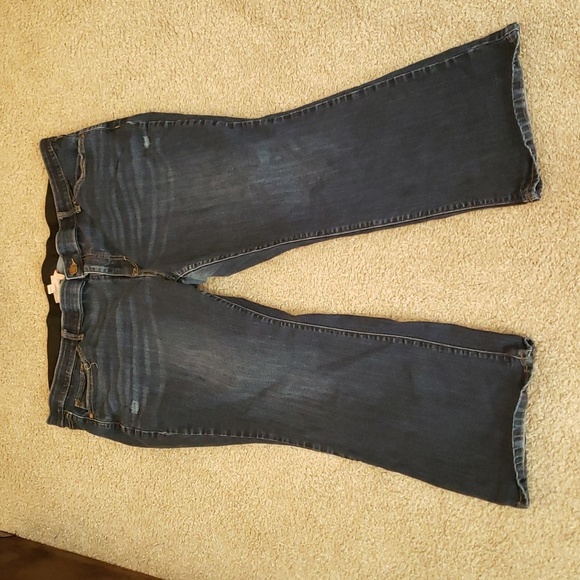 EVRI Petite Bootcut Jeans - Picture 1 of 5